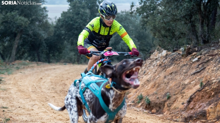 GALERÍA: Vistosa jornada de mussing en Ólvega