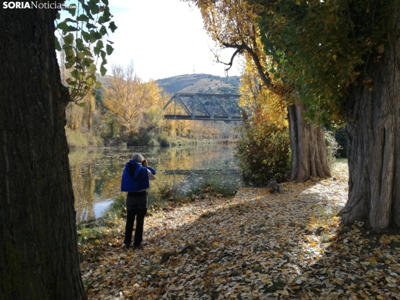 Soria celebra Todos Los Santos pendiente del cielo
