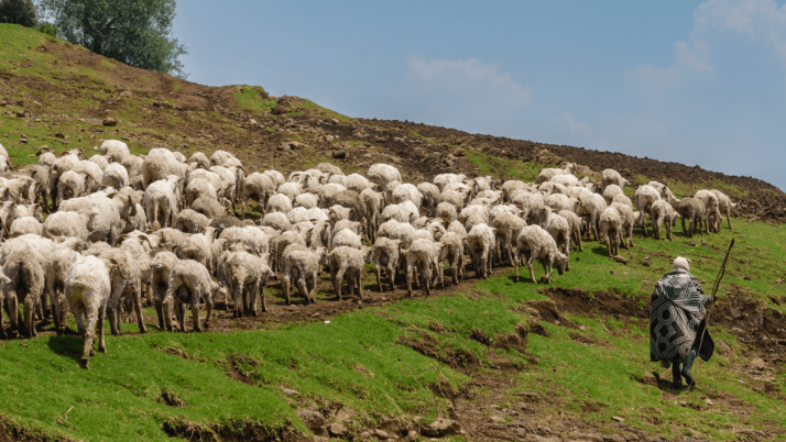 Amigos de Sarnago presenta el jueves el recopilatorio de su premio Abel Hernández