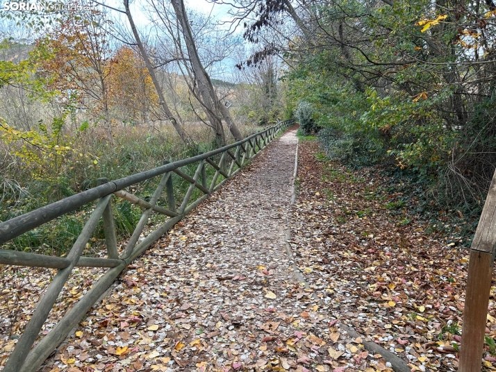 Sábado otoñal atípico en Soria con unas máximas que podrían alcanzar los 20 grados