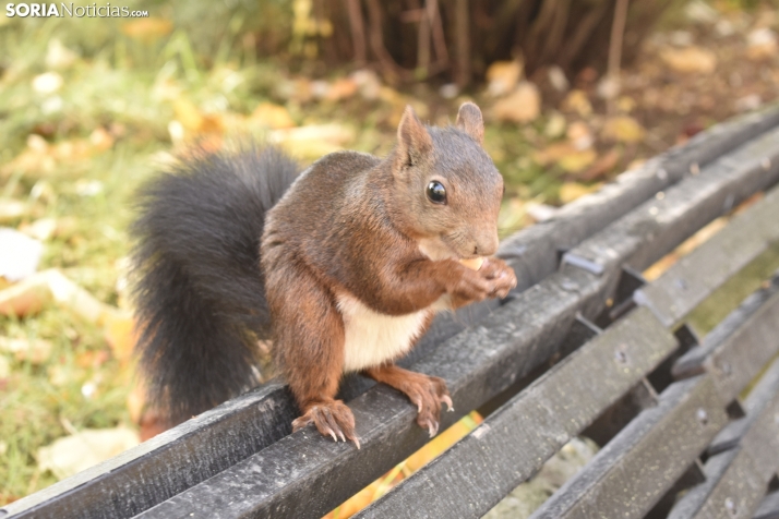 Tiempo sin cambios en Soria