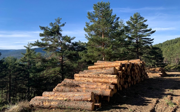 Castilla y León convoca ayudas por 1 M€ para mejorar la formación de los sectores agrario, forestal y agroalimentario