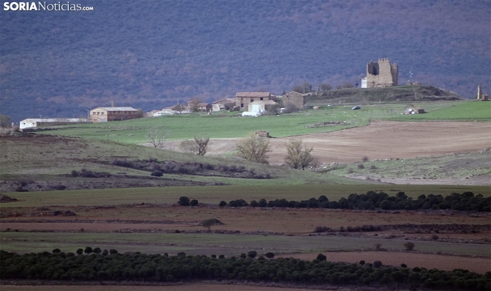 El uso extensivo del territorio es la mejor estrategia para revertir la despoblación en zonas rurales y proteger la naturaleza