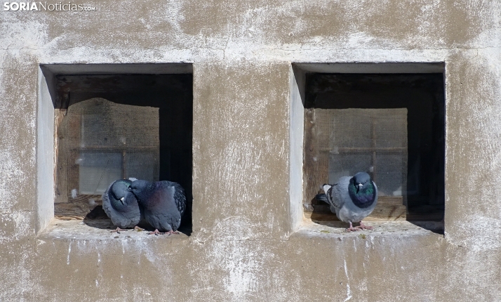 Nochebuena estable, algo nubosa y bajo cero por la noche