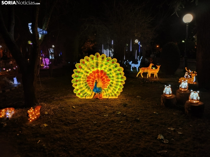 El zoo luminoso llena de magia y color la Dehesa 