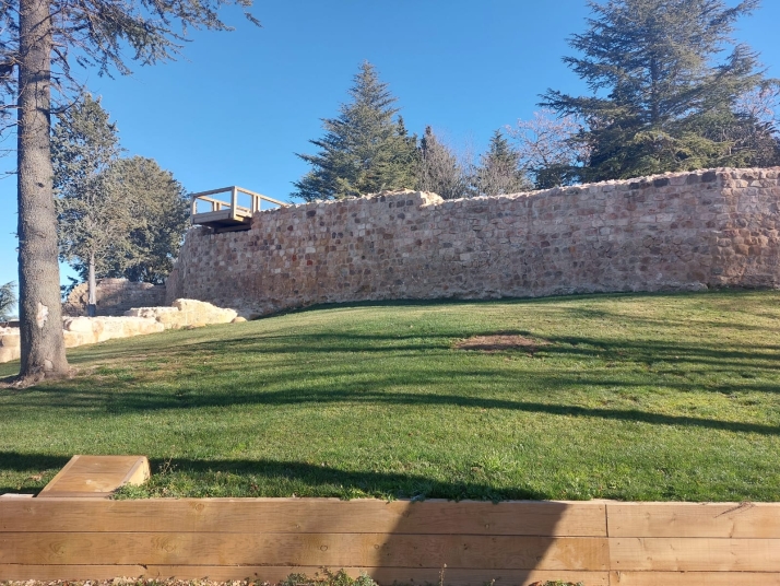 Denuncian que las obras de la Muralla de Soria han eliminado la secuoya del Castillo