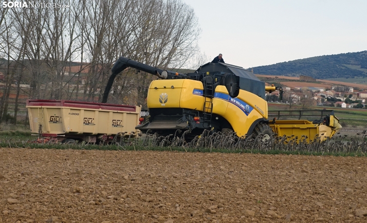 Este sábado, 1 de febrero, se abre el plazo para tramitar la solicitud única de la PAC 2025