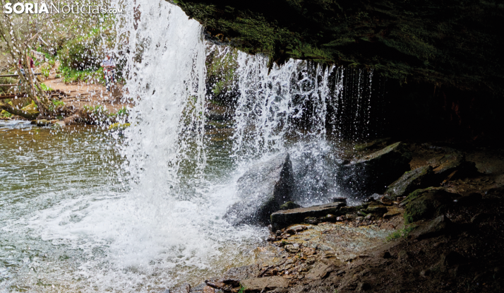 Así será el nuevo rumbo sostenible que transformará el turismo en Covaleda