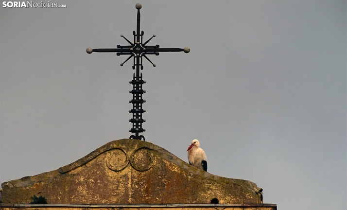 Leve ascenso en las máximas