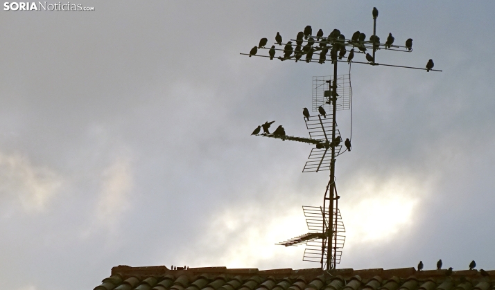 Escasa probabilidad de lluvias para el último sábado de Navidad