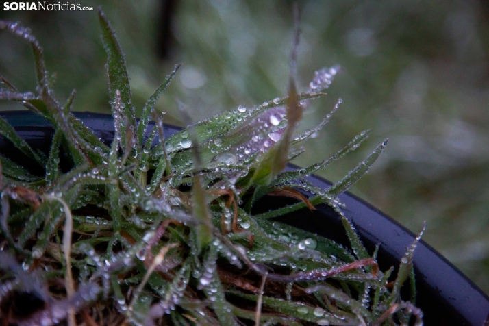 Subida generalizada de las temperaturas en plena borrasca Garoé