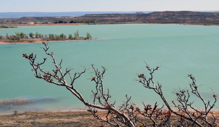 El embalse de Monteagudo de las Vicarías se encuentra al 59 por ciento