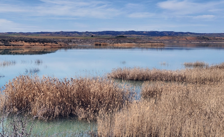 El embalse de Monteagudo aumenta en 0,04 hectómetros sus reservas