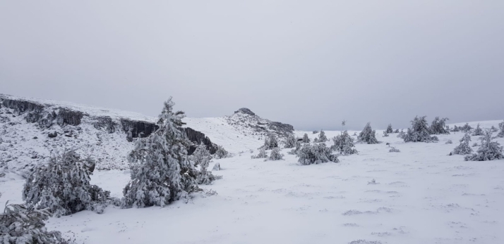 La nieve tiñe de blanco el nacimiento del Duero y los Picos de Urbión
