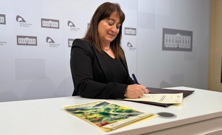 La Diputación suscribe el manifiesto que pide al Gobierno que las calzadas provinciales entren en las convocatorias de fondos europeos