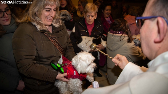 San Antón bendice a las mascotas sorianas