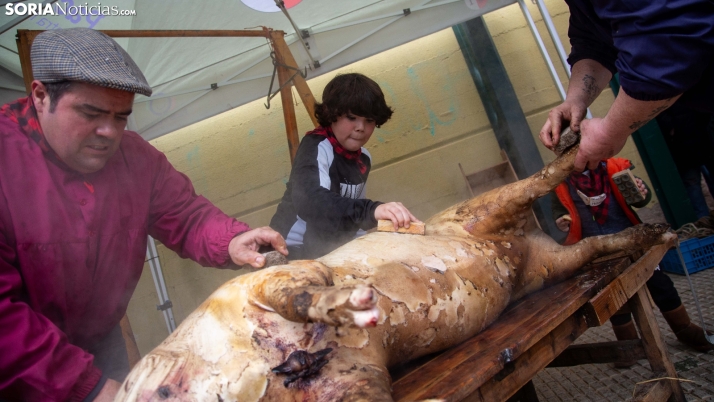 Fotos: Navaleno vuelve a sus orígenes y celebra una nueva edición de sus matanzas