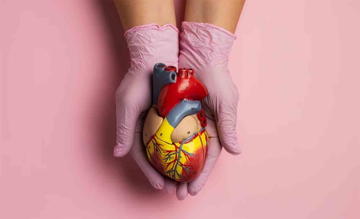 Castilla y León alcanza los 137 donantes de órganos en 2024