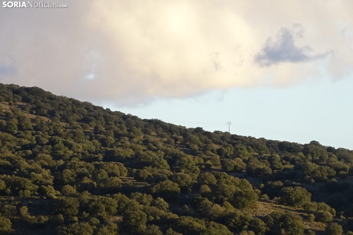 Sábado atípico en Soria para el mes de enero 