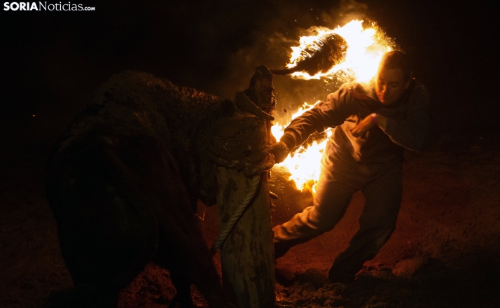 El pleno de la Diputación aprueba la defensa a la tauromaquia popular