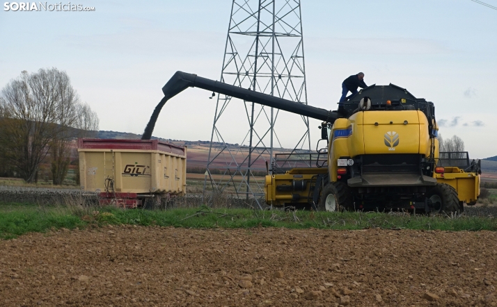 ASAJA Soria, contra la subida del SMI: Pone en riesgo la sostenibilidad del sector agrario