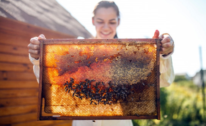Castilla y León se posiciona como la segunda Comunidad en producción de miel de España 