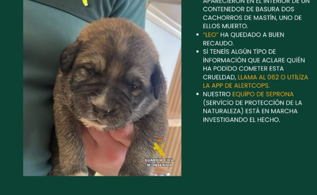 La Guardia Civil investiga el abandono en un contenedor de Soria de dos cachorros de mastín