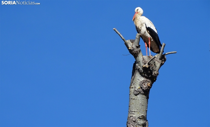 Tiempo estable este Jueves, mañana será otra cosa 