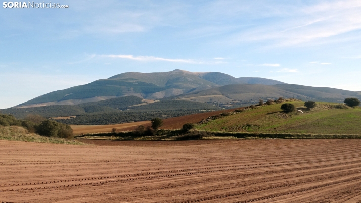 Miércoles despejado con bajada en las mínimas