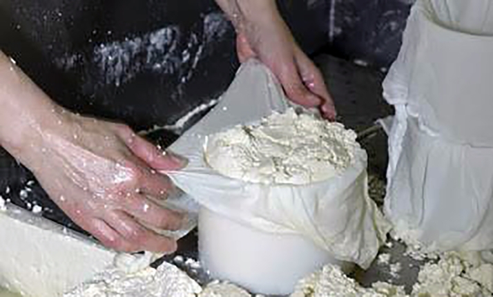 Uno de cada tres quesos producidos en España sale de Castilla y León