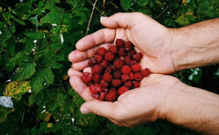 Castilla y León impulsa, con una aceleradora vertical, proyectos de desarrollo de recursos naturales en Soria