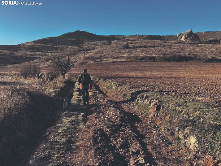 Ruta: De Salinas de Medinaceli a Arbujuelo