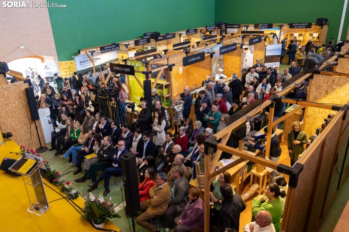 Fotos: Abejar se convierte en el epicentro mundial de la trufa con su tradicional Feria