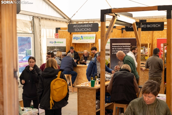 La Feria de la Trufa de Abejar busca reunir a más de 6.000 personas en una edición internacional