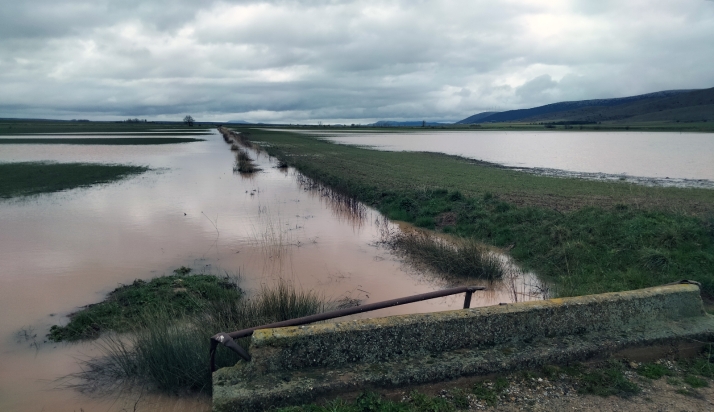 La vega del Rituerto vuelve a verse anegada