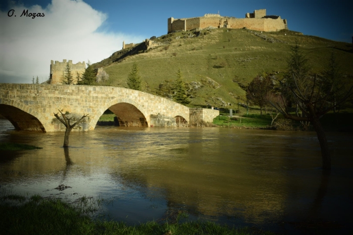 Fotos: El río Ucero deja estas imágenes en varios pueblos de Soria tras su crecida 