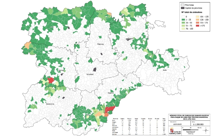 Los ataques de lobo en Soria se disparan con 98 cabezas de ganado muertas durante 2024