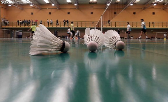 Fin de semana decisivo para el Club Bádminton Soria en su lucha por la permanencia
