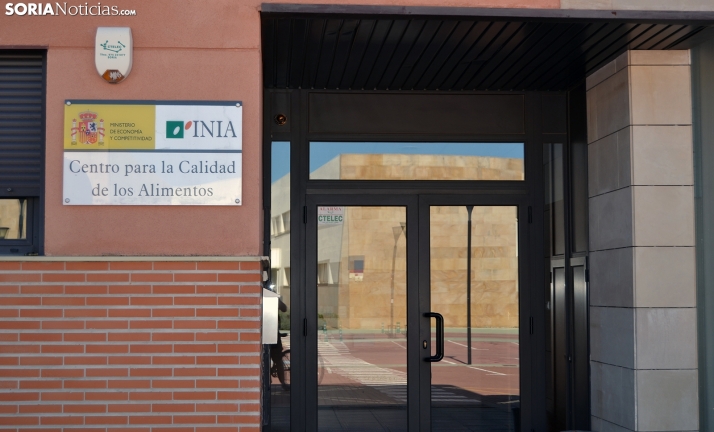 El Csic y la UVa estudian los alimentos del futuro: Setas silvestres, triptófano, carpóforos…