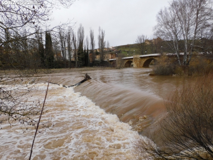 En imágenes: Espectacular crecida del Duero a su paso por Soria