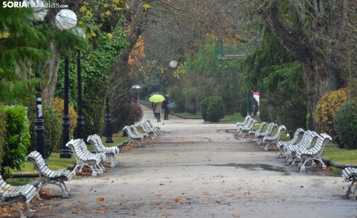 Estas son las propuestas de ASDEN para mejorar el arbolado de La Dehesa