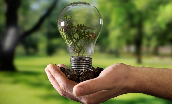 54,4 M€ para una Castilla y León más verde: Impulso a la sostenibilidad empresarial