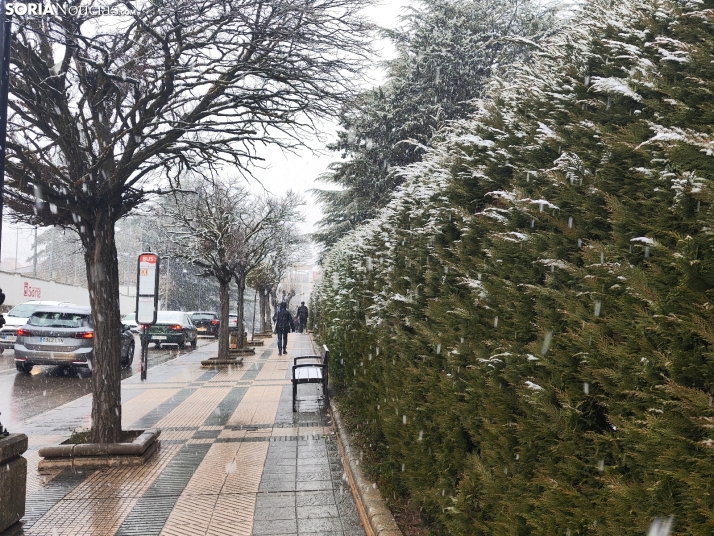 Los sorianos estarán atentos al cielo este domingo: posibles nevadas y lluvia