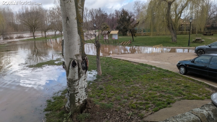 Nueva crecida del Duero en Garray