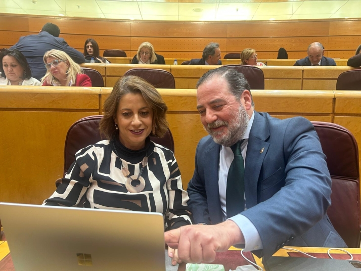 Emma Buj y José Manuel Hernando preguntan a la ministra Saiz por qué no se reúne con los empresarios de Teruel, Cuenca y Soria