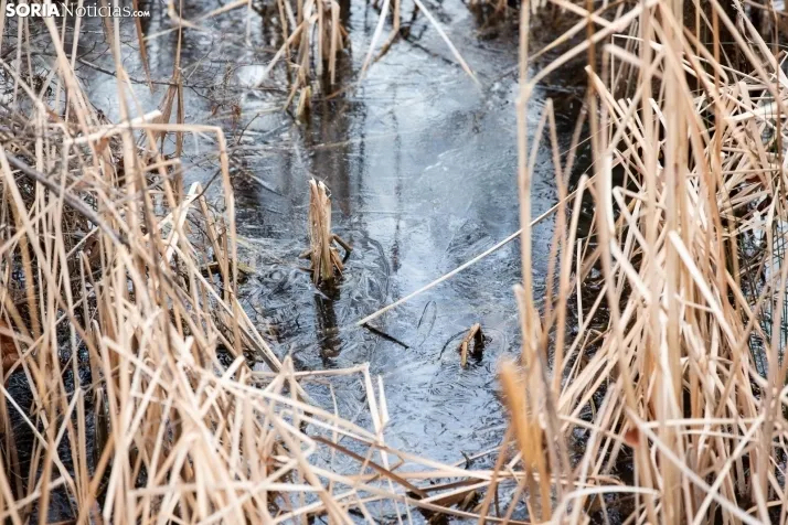 Sábado invernal en Soria