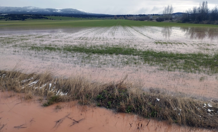 La CHD asegura haber invertido 70.000 € en la vega del Rituerto desde diciembre del año pasado