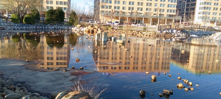 El Ayuntamiento responde a las quejas de dejadez del vecindario de El Lago