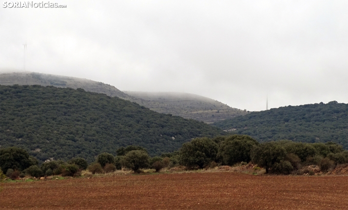 Bajan las máximas en un viernes desapacible