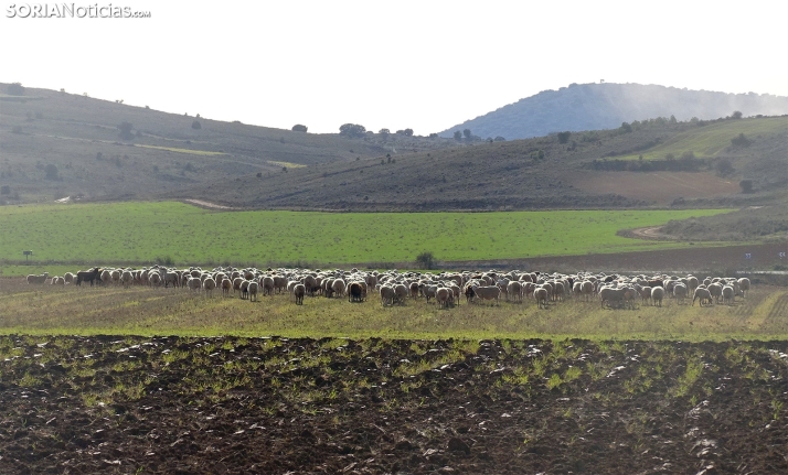 Mejoran los termómetros en las máximas y más sol